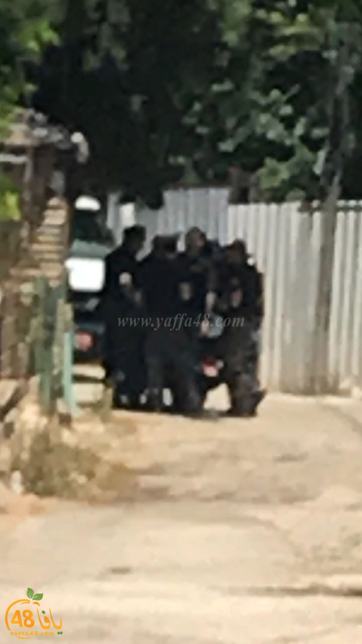 bentsfbuyvey (6).jpg